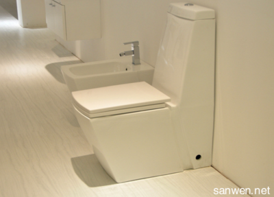 直冲与虹吸马桶全方位对比与选购指南